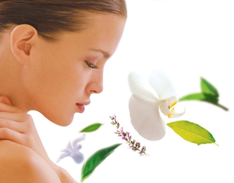 Растительные стволовые клетки в косметике